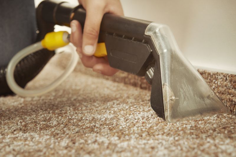 Wet Carpet Restoration in Scottsdale, AZ