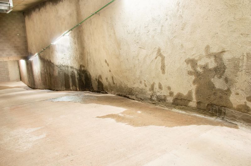 Wet Basement Repair in Fort Collins, CO